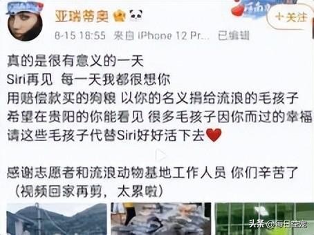 托运期间，狗死了，主人用赔偿买了狗粮，捐给了三个流浪狗基地