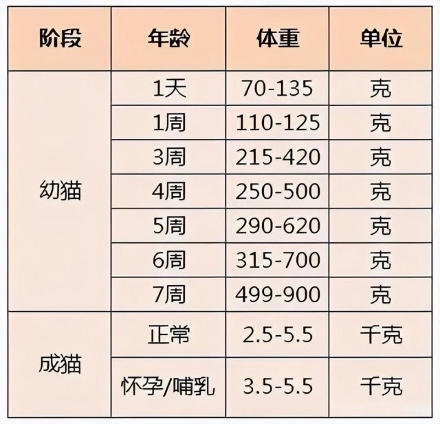 老年猫如何照顾（下）